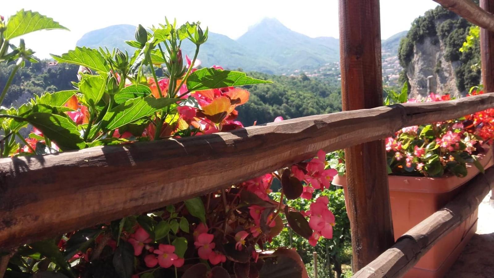 Agriturismo Orrido Di Pino Agerola Luaran gambar