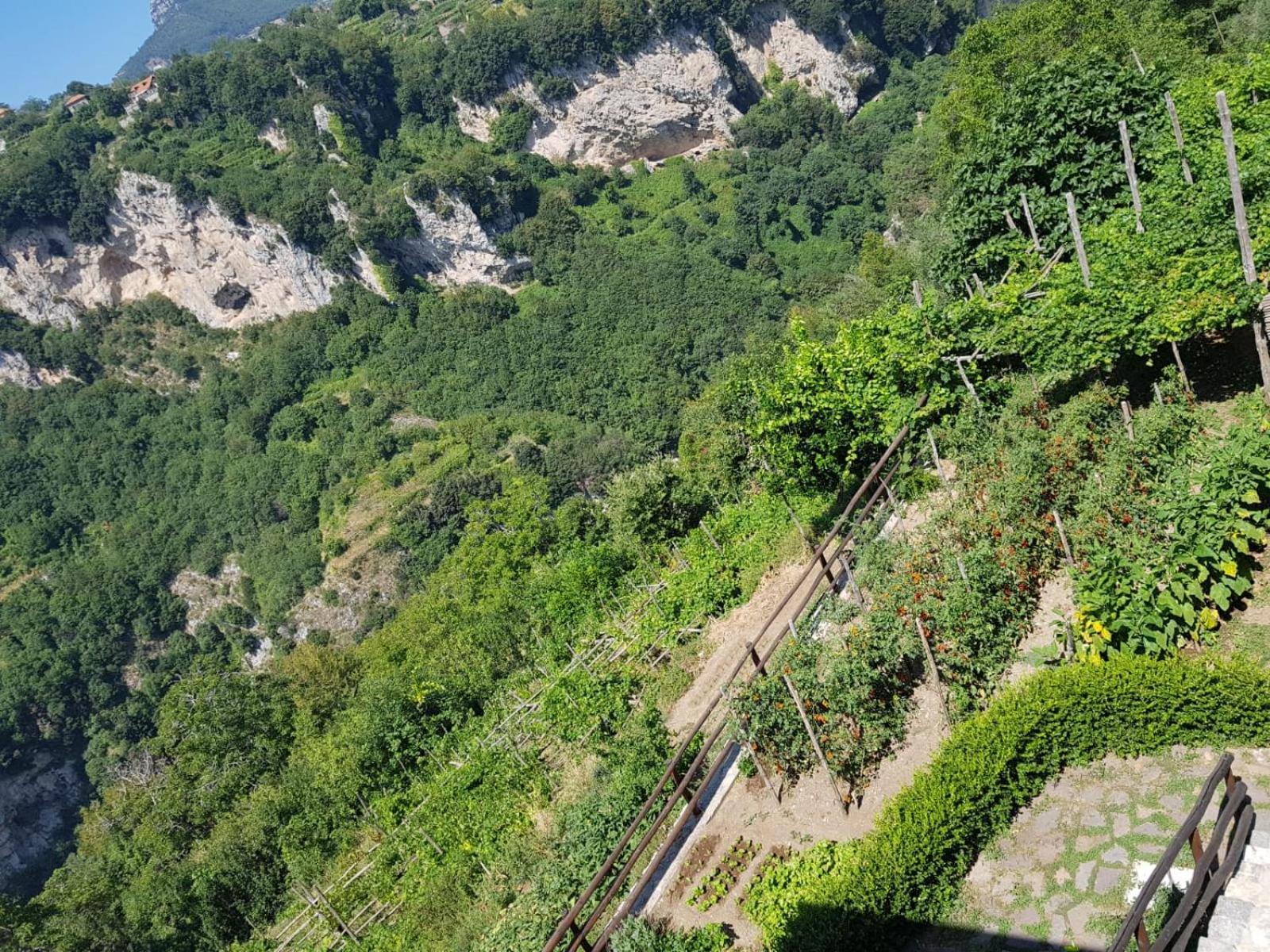 Agriturismo Orrido Di Pino Agerola Luaran gambar