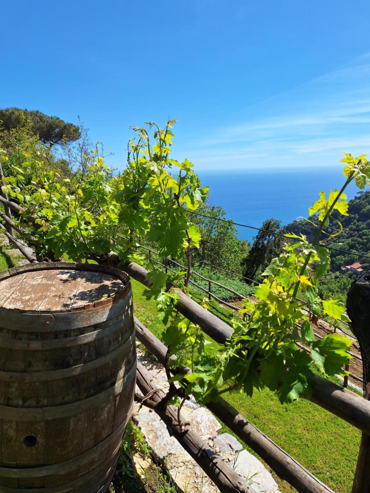 Agriturismo Orrido Di Pino Agerola Luaran gambar