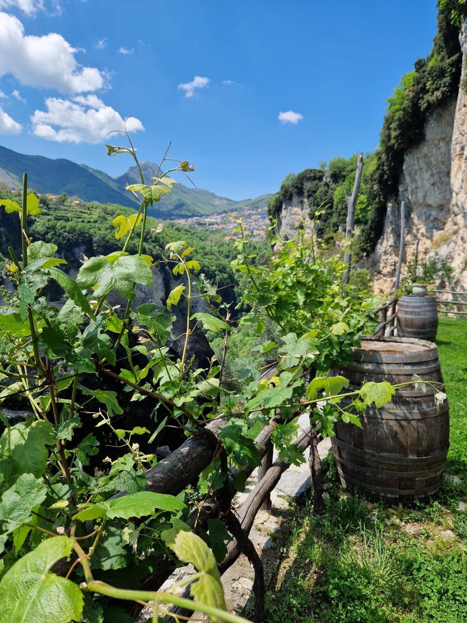 Agriturismo Orrido Di Pino Agerola Luaran gambar