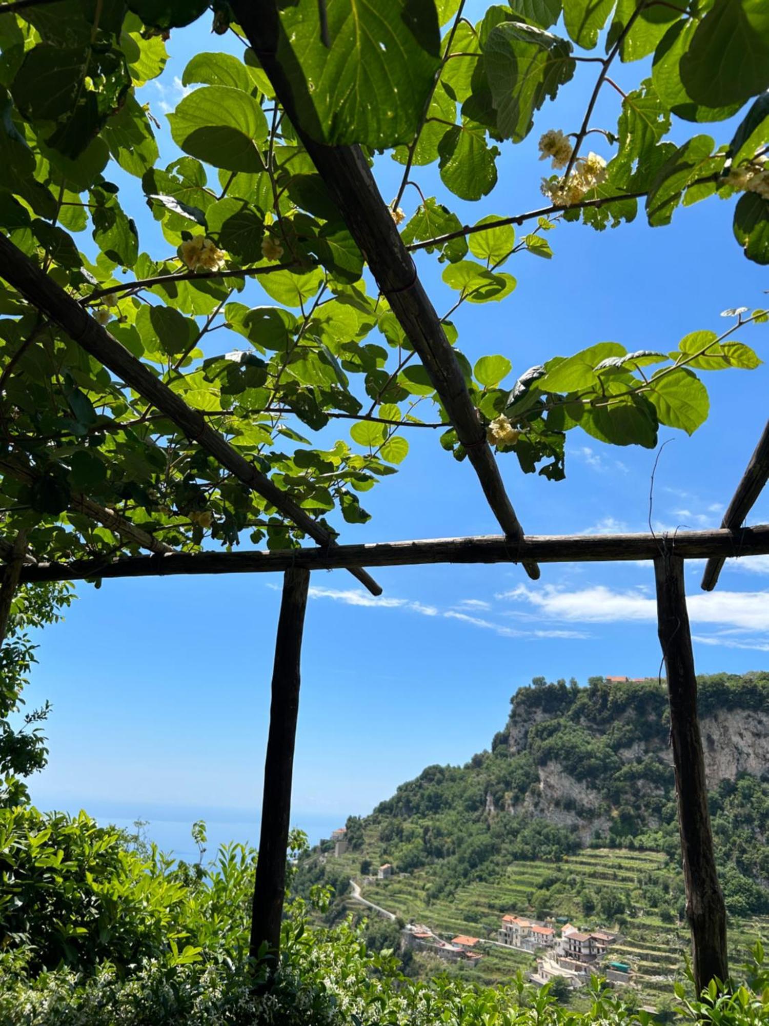 Agriturismo Orrido Di Pino Agerola Luaran gambar