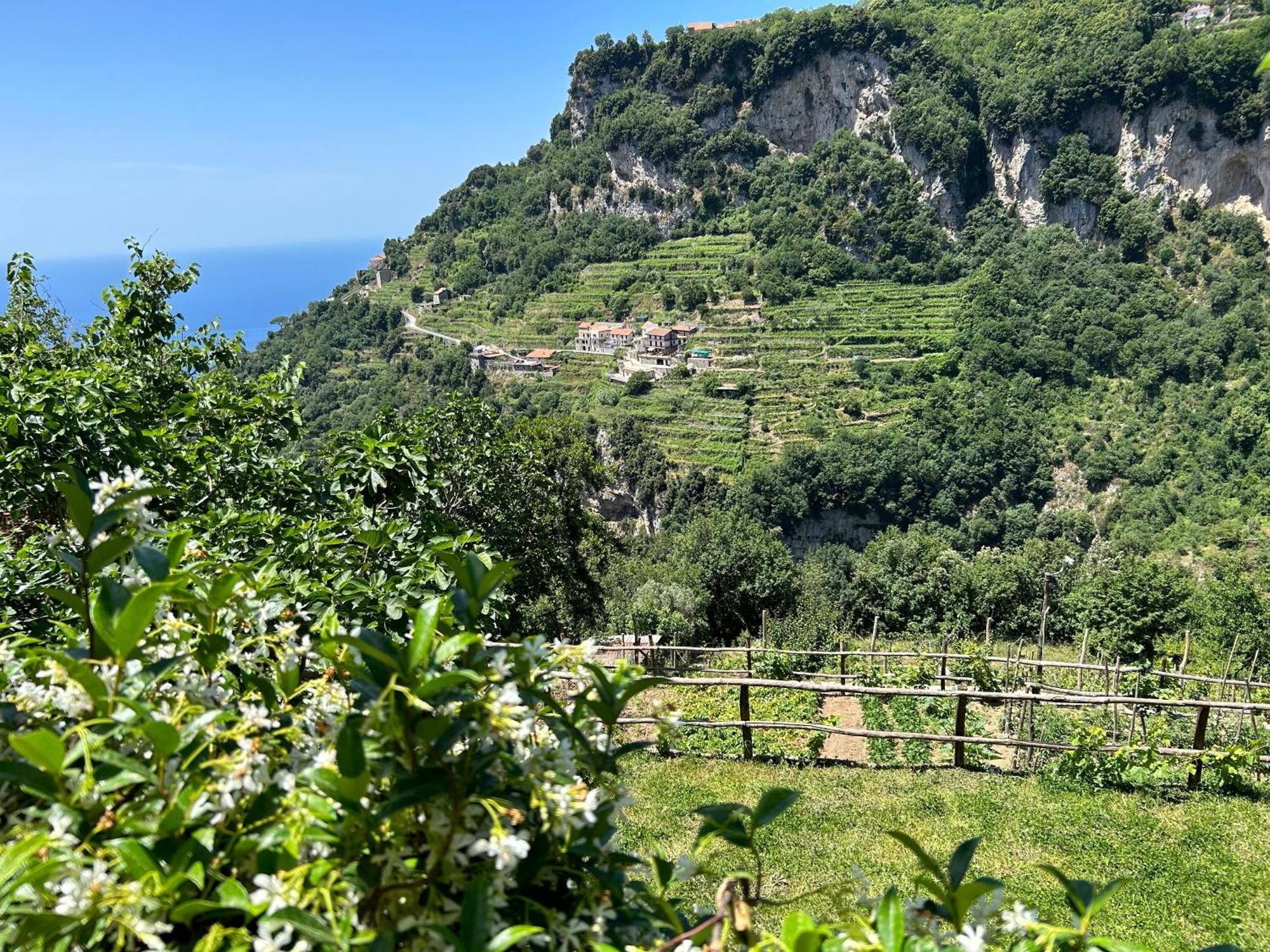 Agriturismo Orrido Di Pino Agerola Luaran gambar