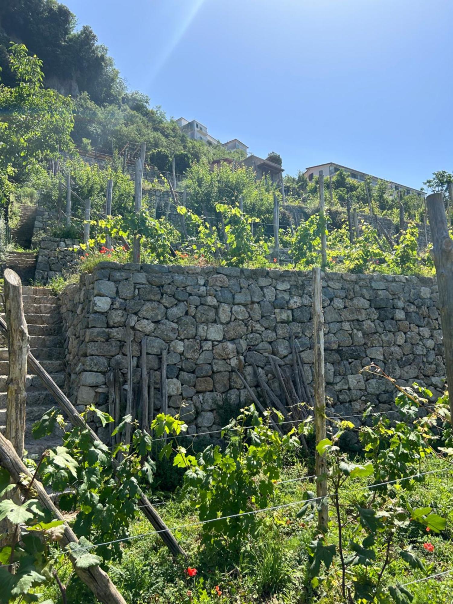 Agriturismo Orrido Di Pino Agerola Luaran gambar